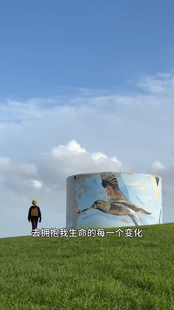 唐寧打破固有認知,勇敢接納全新的自己。 唐寧打破固有認知,勇敢接納全新的自己。