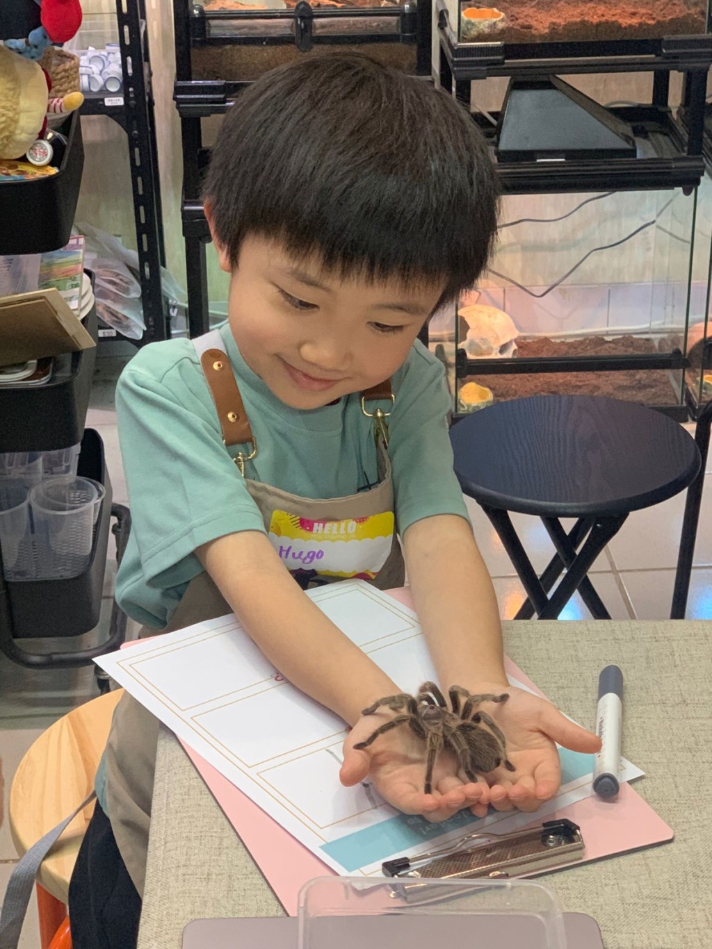 小朋友會認識冷血及恆溫動物、有脊椎及無脊椎動物，以及其適合的生態環境（圖片來源：森流）