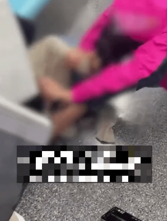 兩女上海地鐵為爭座位打大出手，扯頭髮抱摔技盡出。 網片截圖