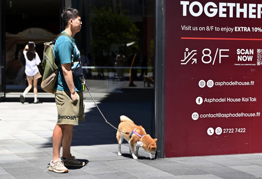許多城市和地方已逐步開放允許寵物進入餐廳。資料圖片