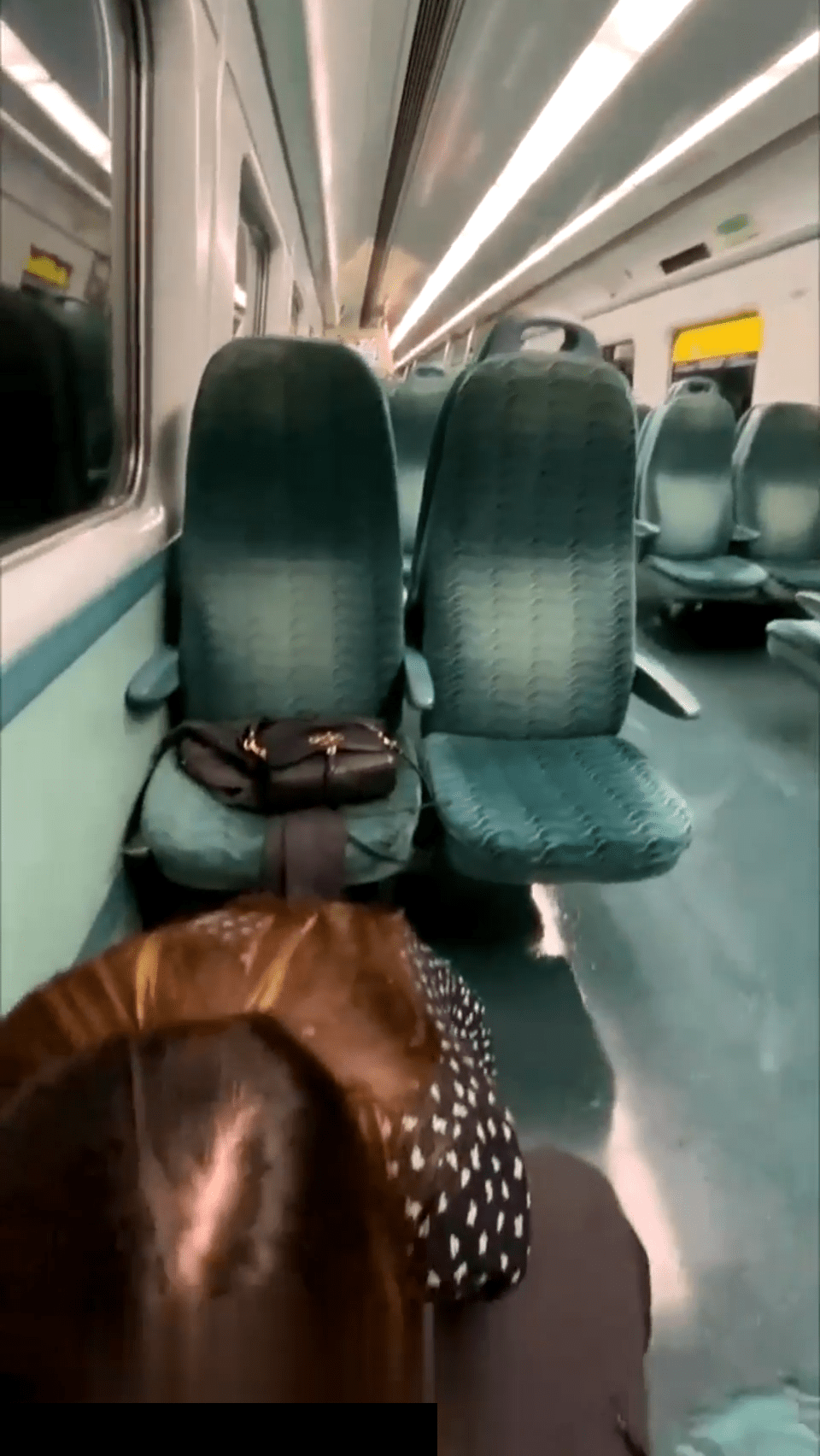 該女子亦曾在東鐵線頭等車廂內進行猥褻行為。