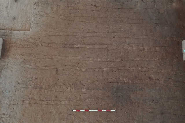 这是在栎阳城遗址汉代农田遗迹中发现的犁沟。