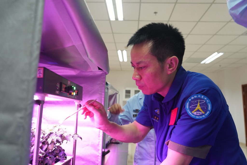 湯洪波將成為中國首個間隔最短時間執行兩次任務和首個最先重返太空站的太空人。(中新社)