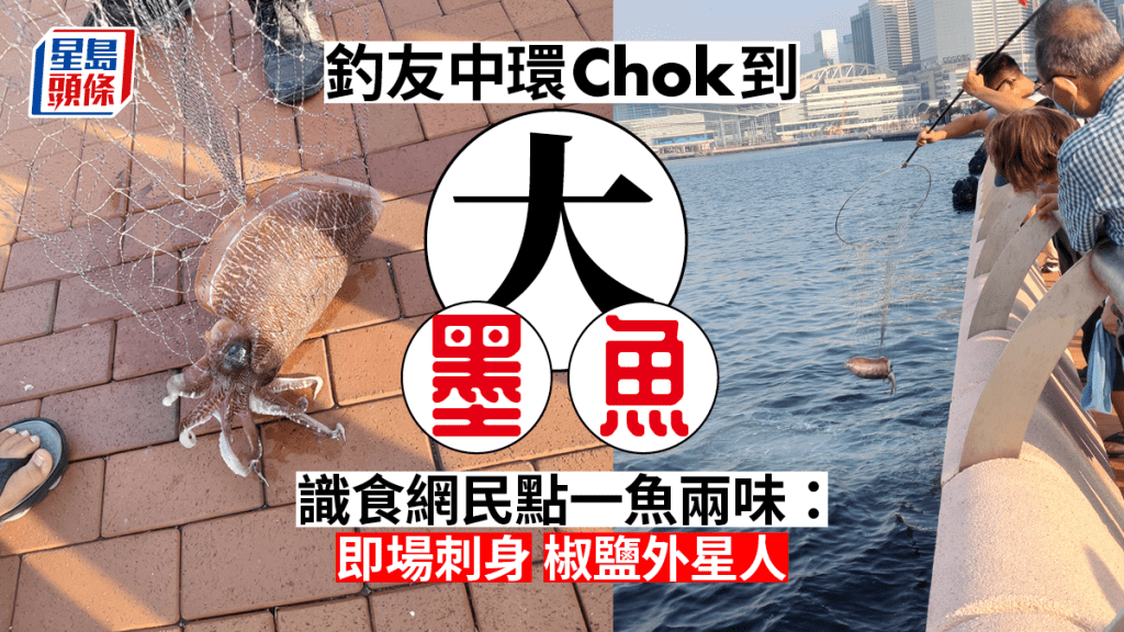 生猛大墨魚中環上釣 網民:上面放生下面放題 生猛大墨魚中環上釣 網民:上面放生下面放題