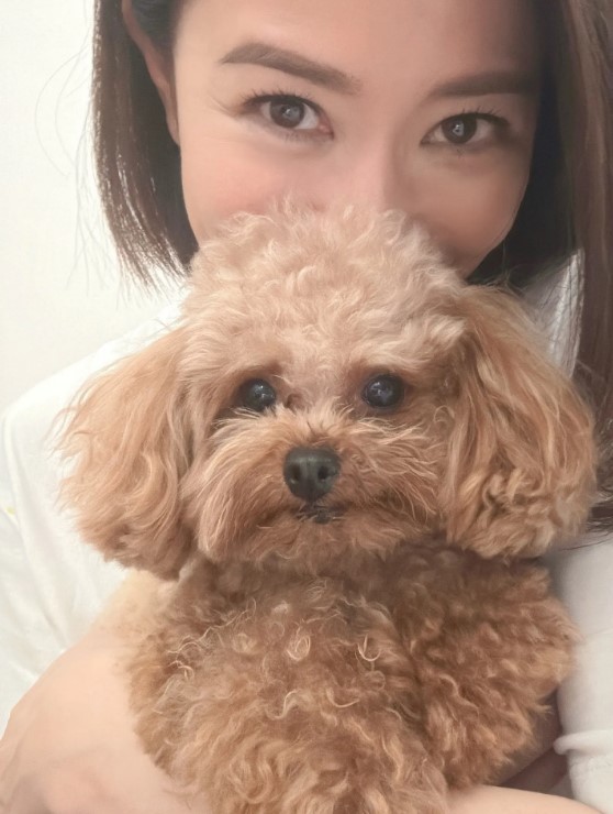 佘詩曼和愛犬Gaga。 佘詩曼和愛犬Gaga。