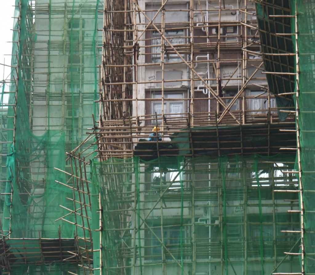 承建商今早(2日)開始拆除D座棚網,更有棚工透露將拆除屋苑所有棚網。 承建商今早(2日)開始拆除D座棚網,更有棚工透露將拆除屋苑所有棚網。