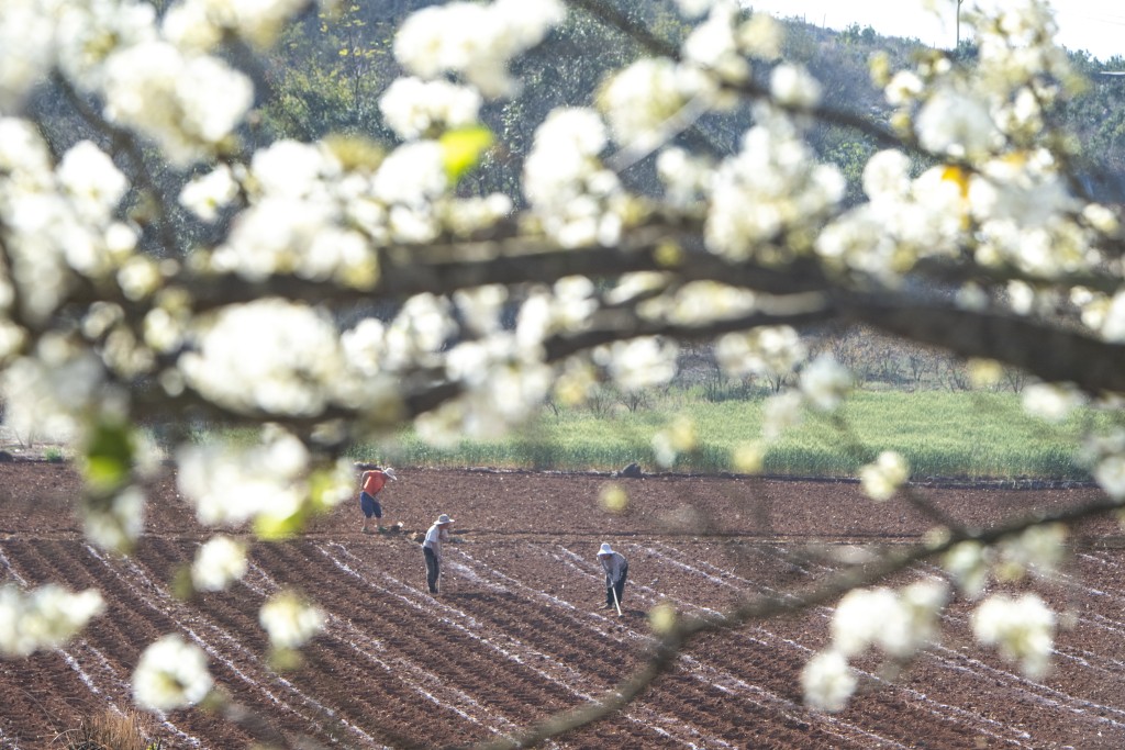 雨水前后，农民开始准备春耕。（图片来源：新华社）