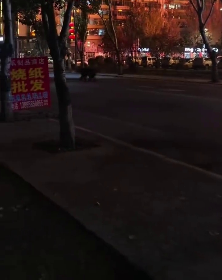大黑熊夜闖黑龍江鬧市,橫過馬路。 大黑熊夜闖黑龍江鬧市,橫過馬路。