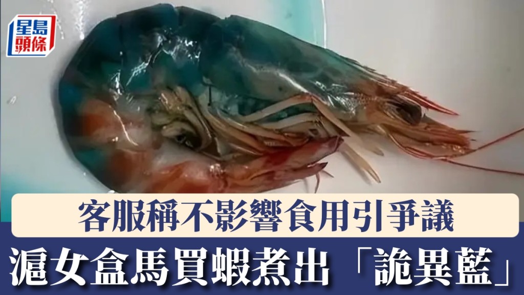 滬女網購盒馬蝦煮出「詭異藍」，網友熱烈討論。