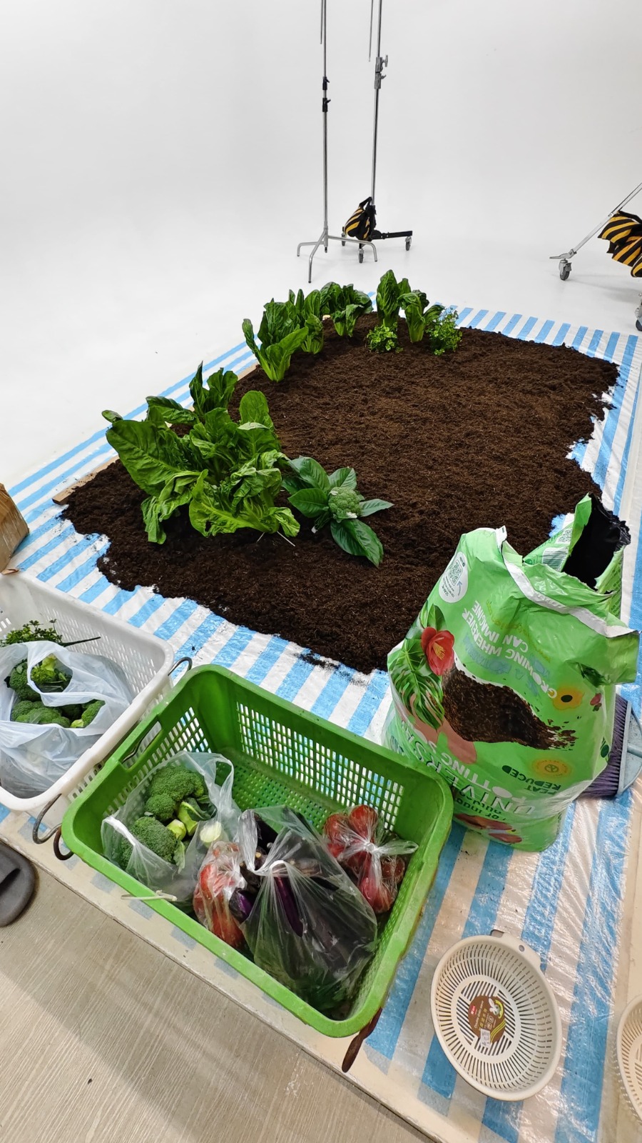 有人认为海报是AI合成技术的产物，但拍摄当日团队可是“嚟真嘅”！