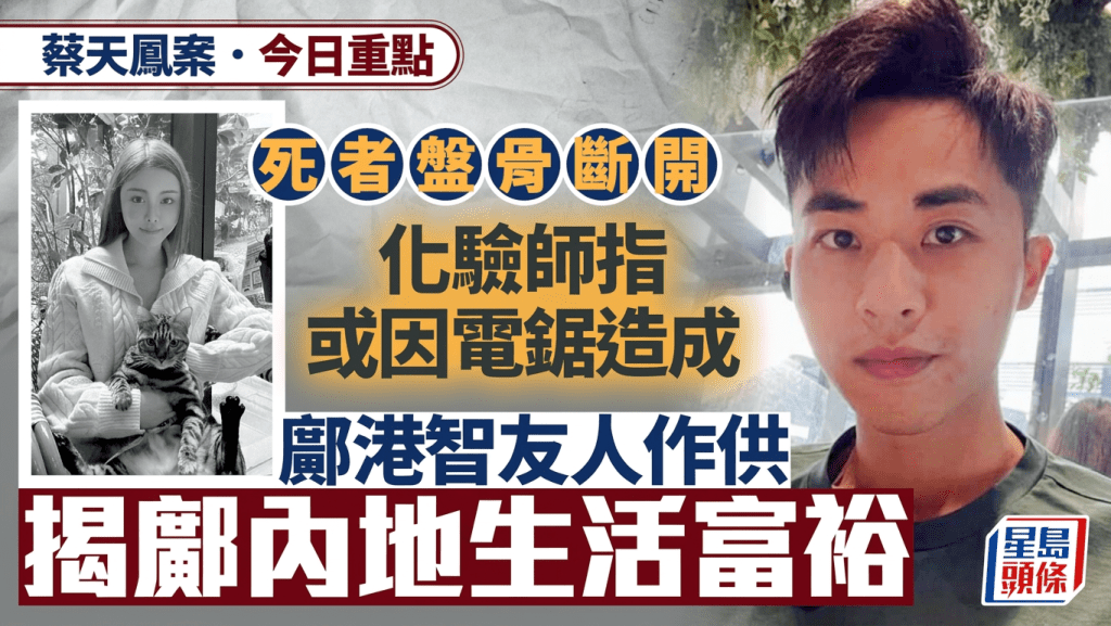 蔡天鳳案・今日重點｜政府化驗師稱盤骨斷開可能用電鋸或錘擊造成