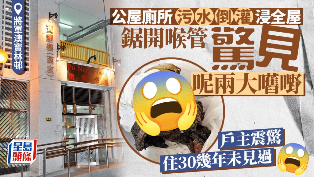 公屋廁所污水倒灌浸全屋 鋸喉驚見呢兩大嚿嘢 遠看像動物皮毛