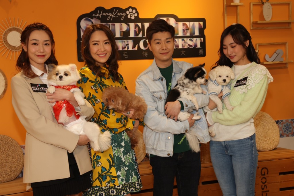 向海嵐、周奕瑋、黃嘉雯和鍾柔美今日為TVB節目《超級毛特兒大賽》面試參賽「毛特兒」。