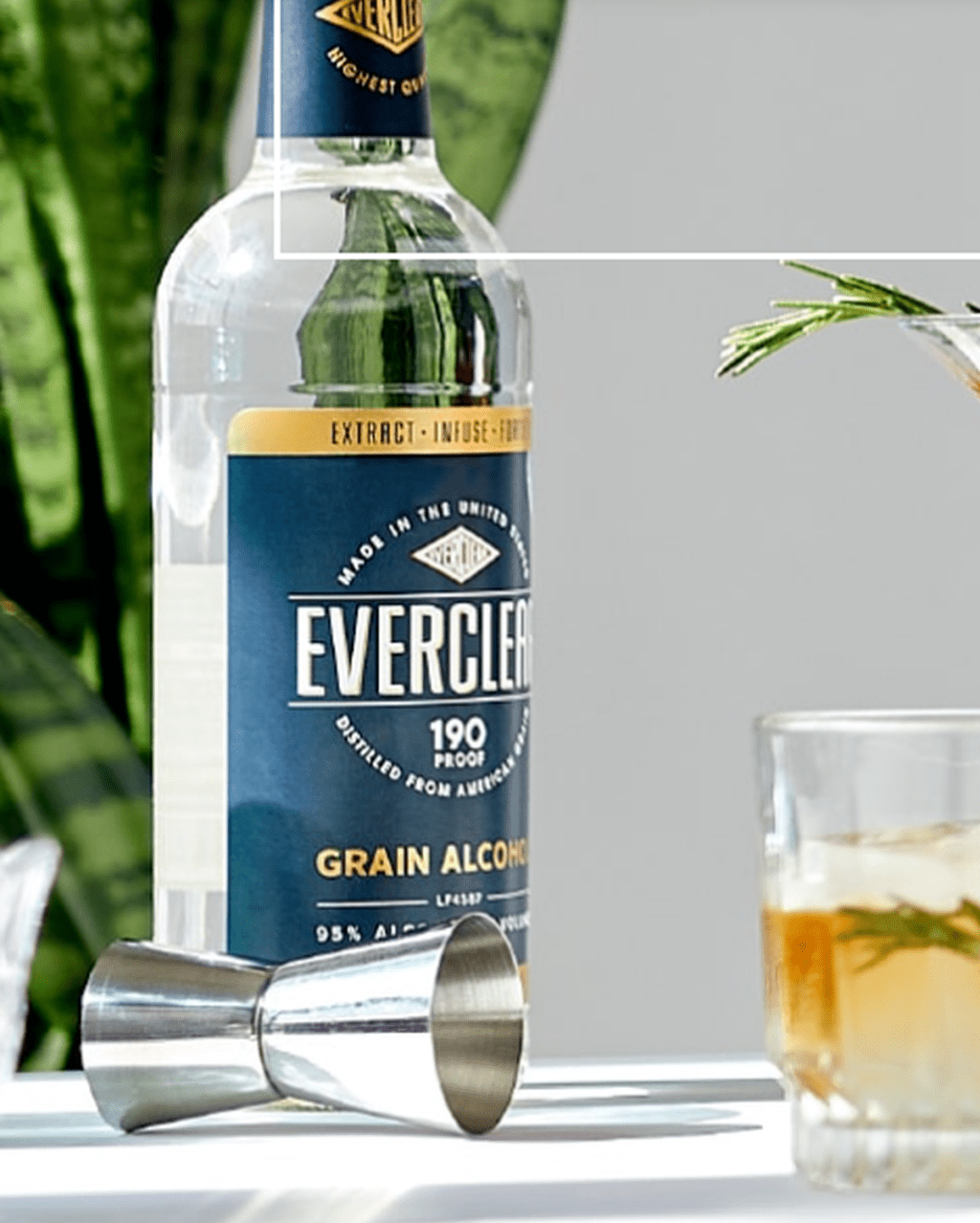 Everclear酒瓶上的标签注明95%酒精含量。 Luxco官网图片