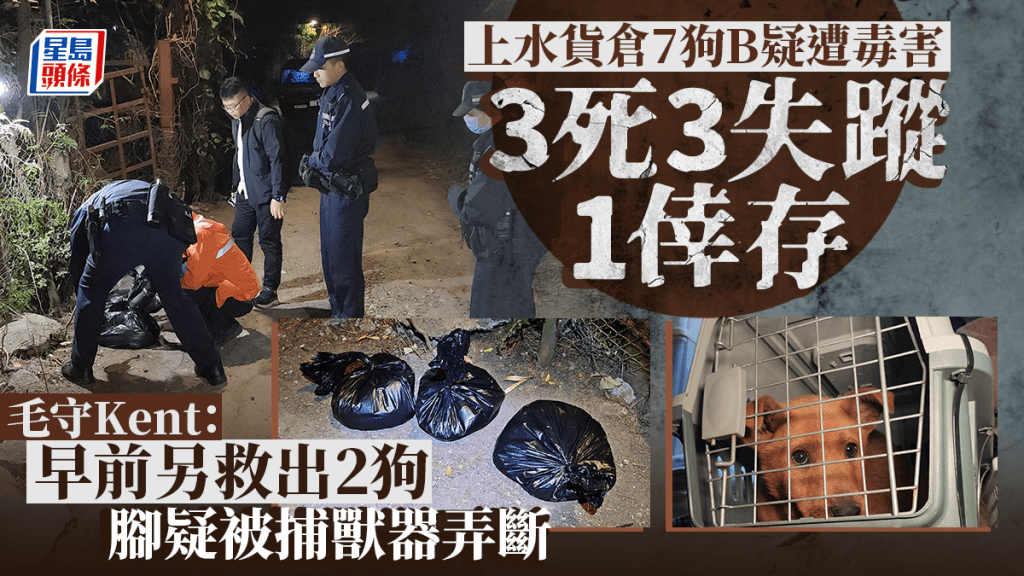 粉錦公路7狗疑遭毒害  1吐白沫3死3失蹤 警列虐畜追查