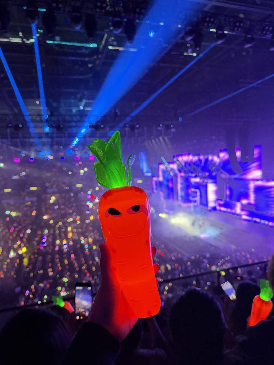 不少未能入場的粉絲非常希望得到紅蘿蔔手燈。