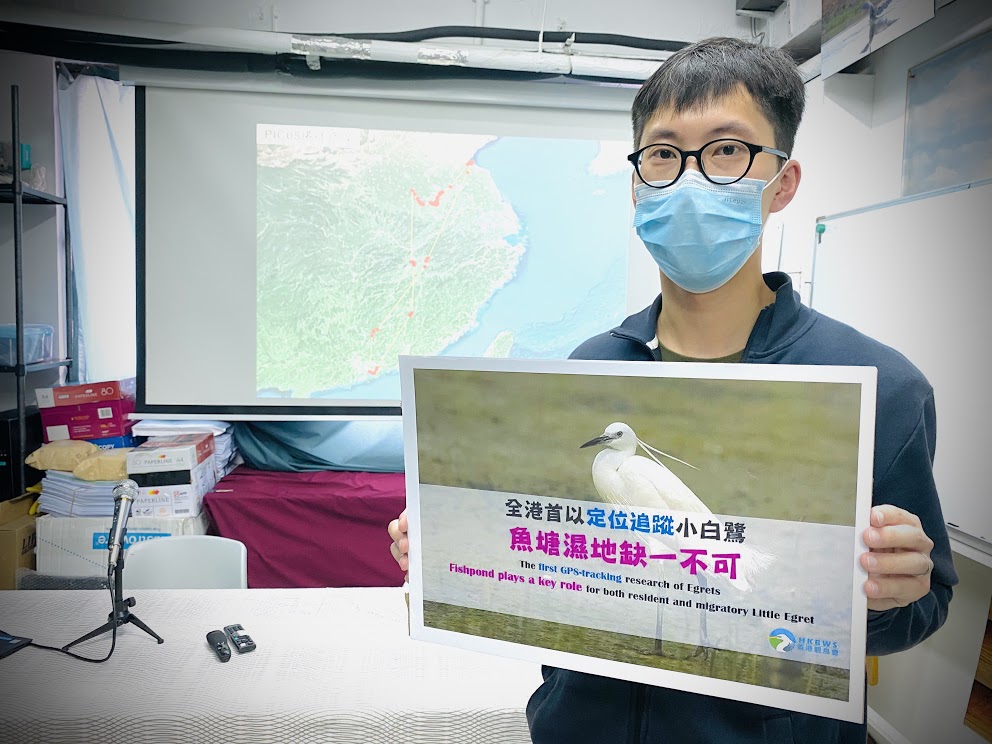 香港观鸟会图片