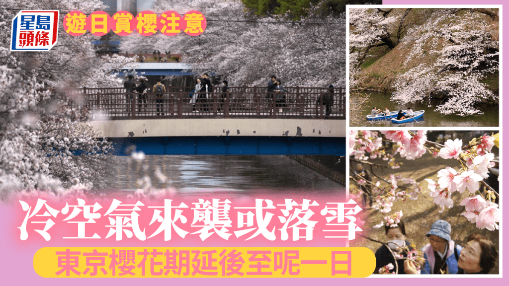 遊日注意|冷空氣來襲 東京櫻花期延後至呢日……