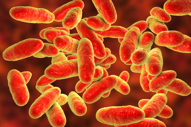 何栢良指旅遊期間感染甲型鏈球菌風險不算高。資料圖片