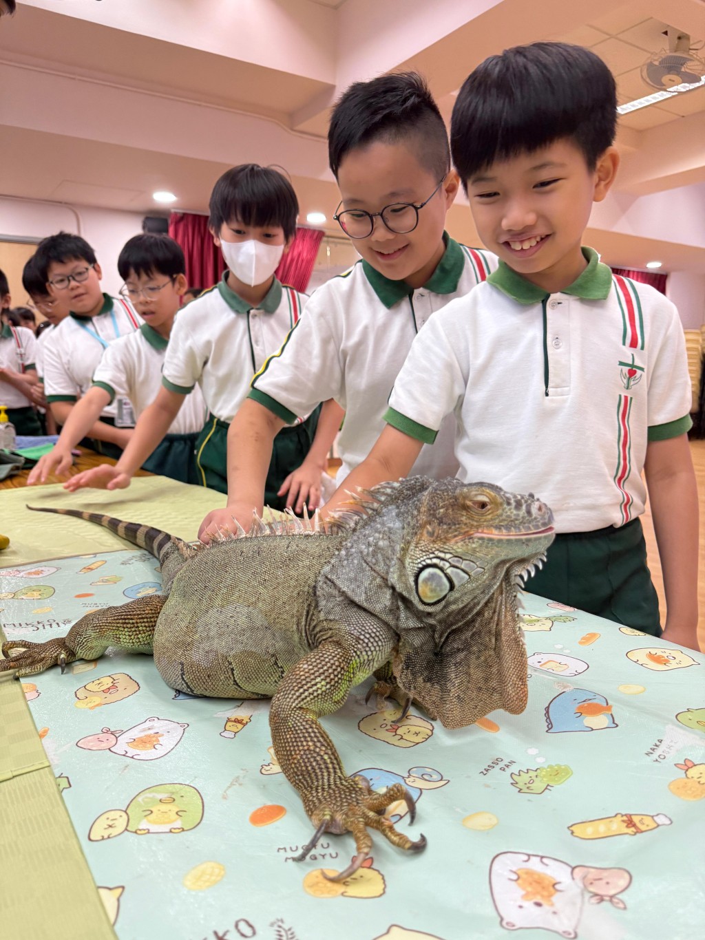 學生給綠鬃蜥掃掃背，感受其皮膚觸感和體温。（圖片來源：受訪者提供）