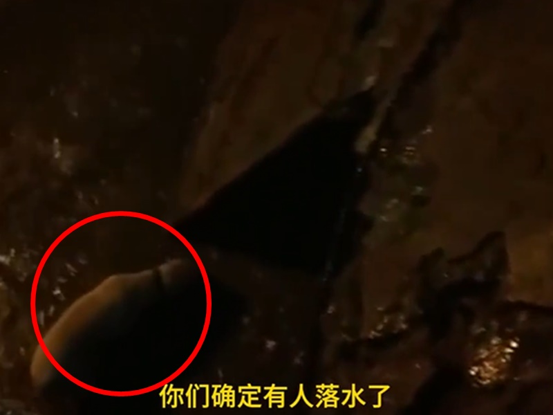 狗隻自行游回岸上。網圖
