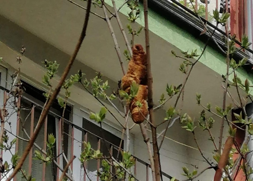 網圖