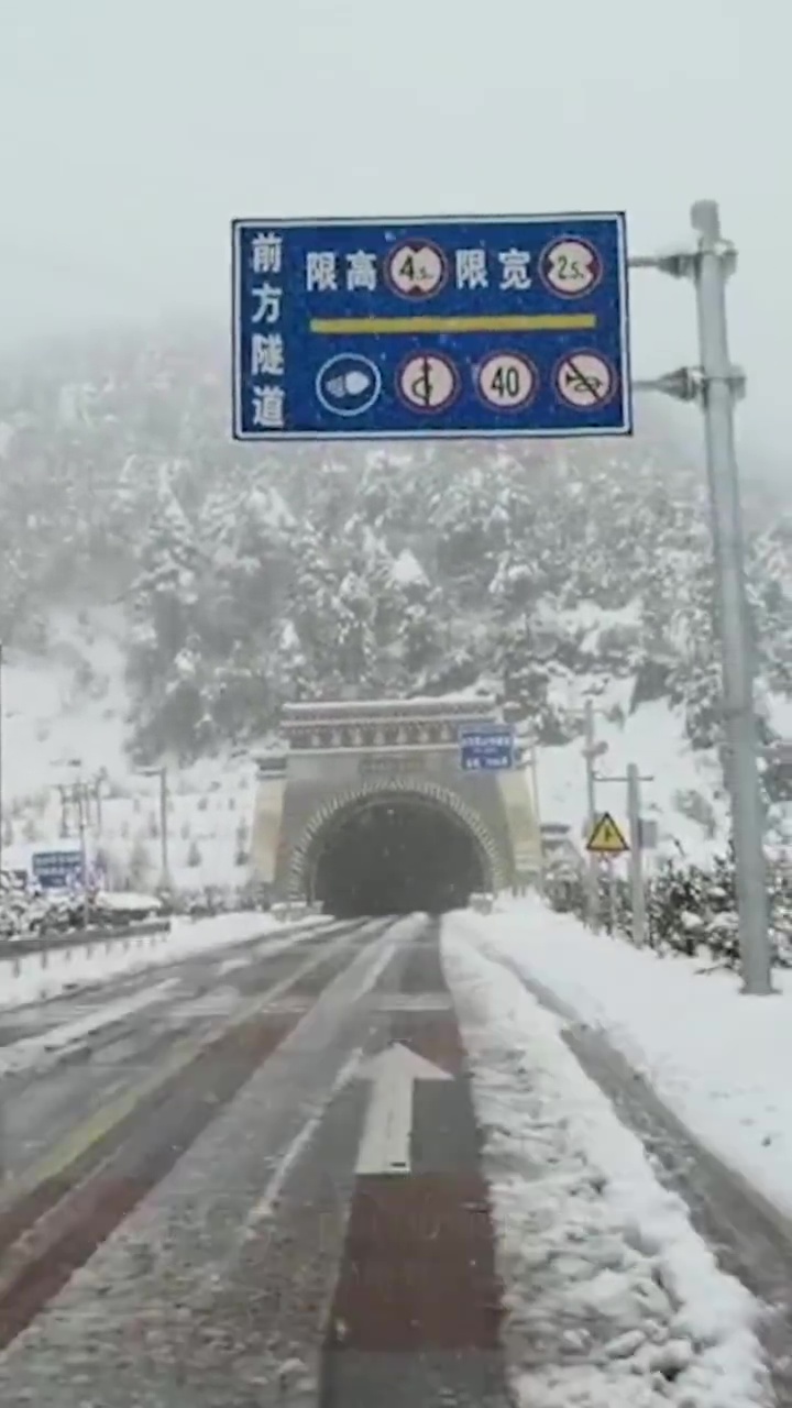 大地瞬間被白雪覆蓋。(網圖)