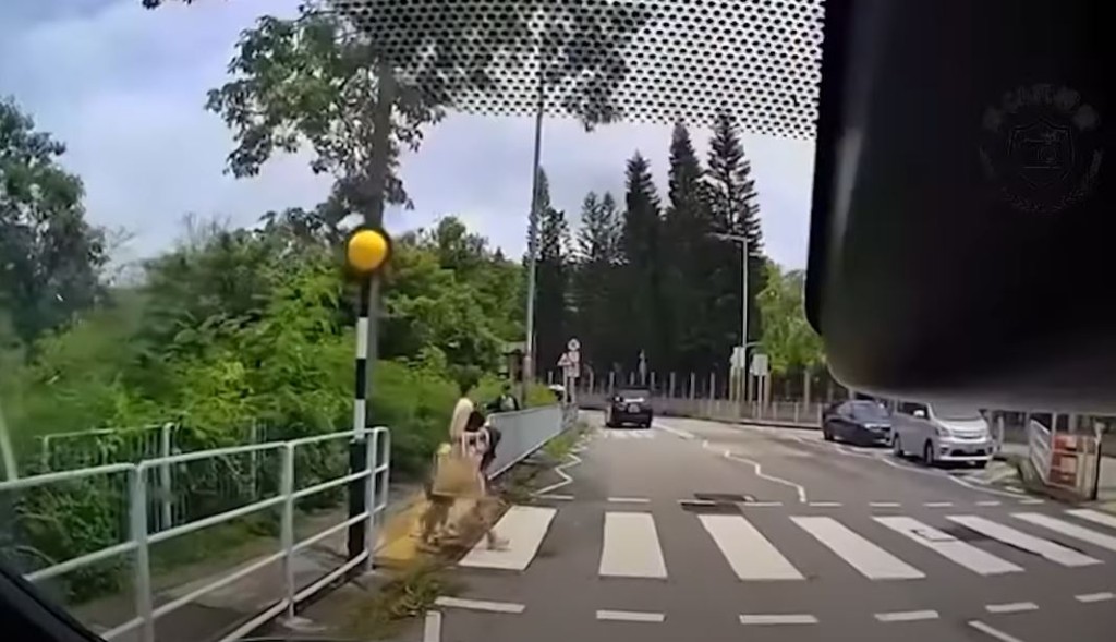 一對母子在行人過路處過路。網上影片截圖