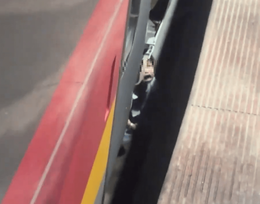 女童深圳北站落車不慎跌落月台空隙受驚嚎哭。 女童深圳北站落車不慎跌落月台空隙受驚嚎哭。