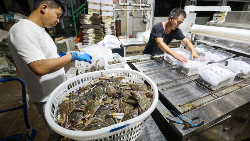 9至10月為南韓梭子蟹捕撈旺季。新華社