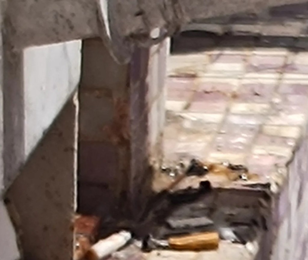 Threads截圖(資料來源:bluebell_raindrop@Threads) Threads截圖(資料來源:bluebell_raindrop@Threads)