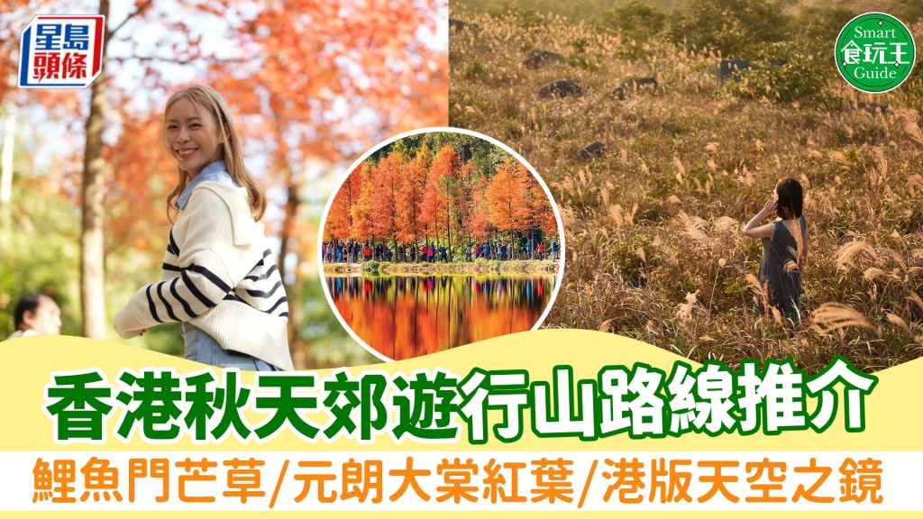 香港秋天郊遊好去處6大推介！鯉魚門芒草/元朗大棠紅葉/港版天空之鏡 附行山路線/交通