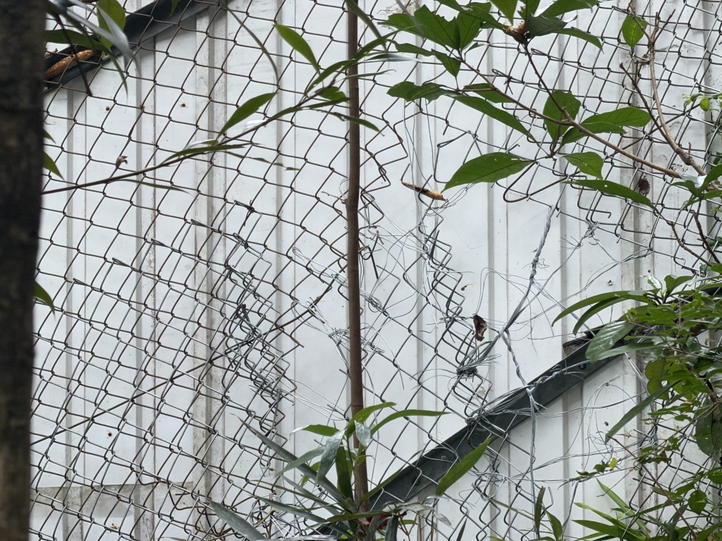 寶福山後山附近有鐵絲網損毀。 寶福山後山附近有鐵絲網損毀。