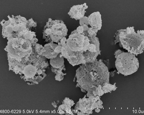 掃描電子顯微鏡放大5,000倍的他米巴羅汀可吸入式乾粉製劑。港大醫學院圖片