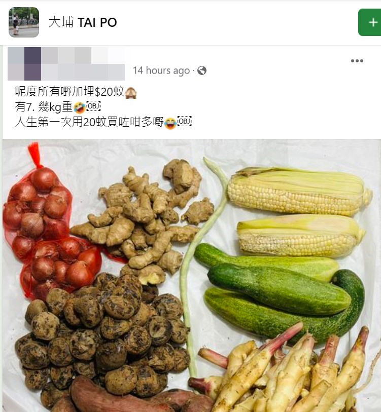 楼主帖文。fb“大埔 TAI PO”截图