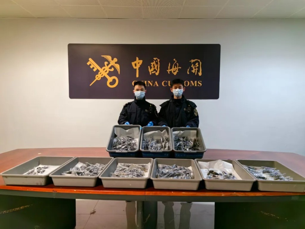 女旅客在广州白云机场入境时，行李箱被发现收藏439只走私甲虫。