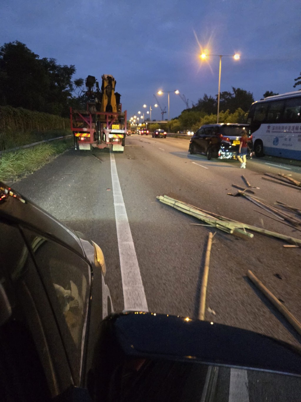 大量竹枝散落青朗公路。網上圖片 大量竹枝散落青朗公路。網上圖片