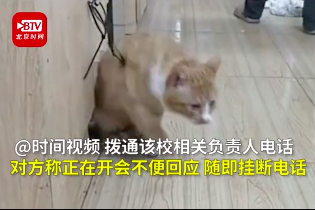網圖