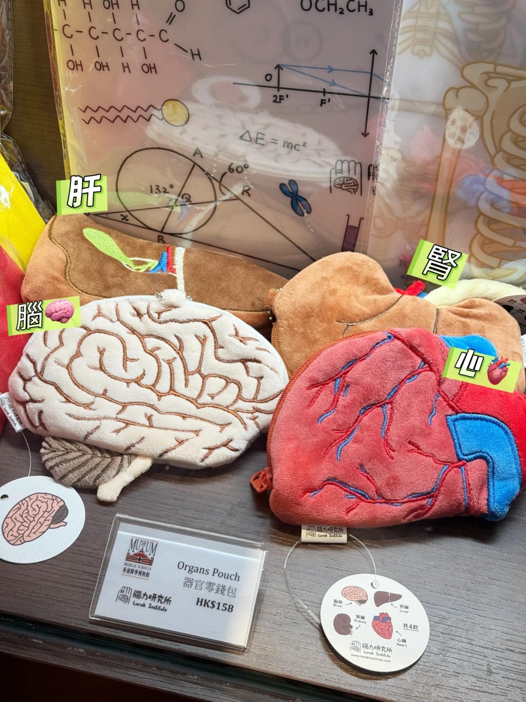 (圖片來源:香港醫學博物館) (圖片來源:香港醫學博物館)