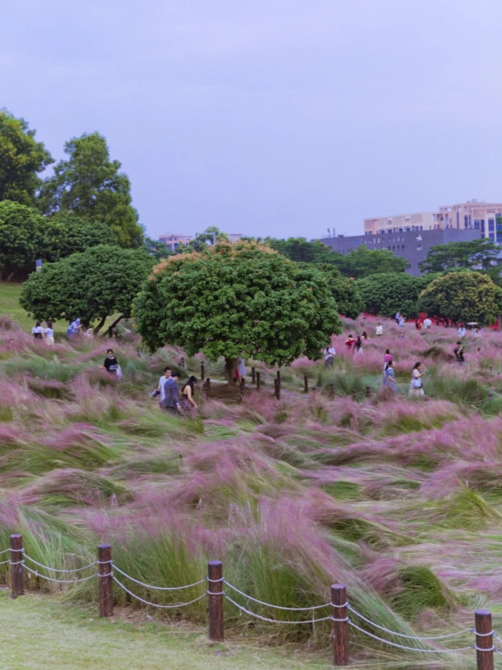 位於光明區的紅花山公園設有兒童遊樂園、沙地、大草坪（圖片來源：小紅書@花腳猫summer）