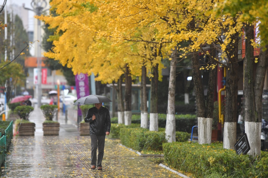 图片来源：中新社