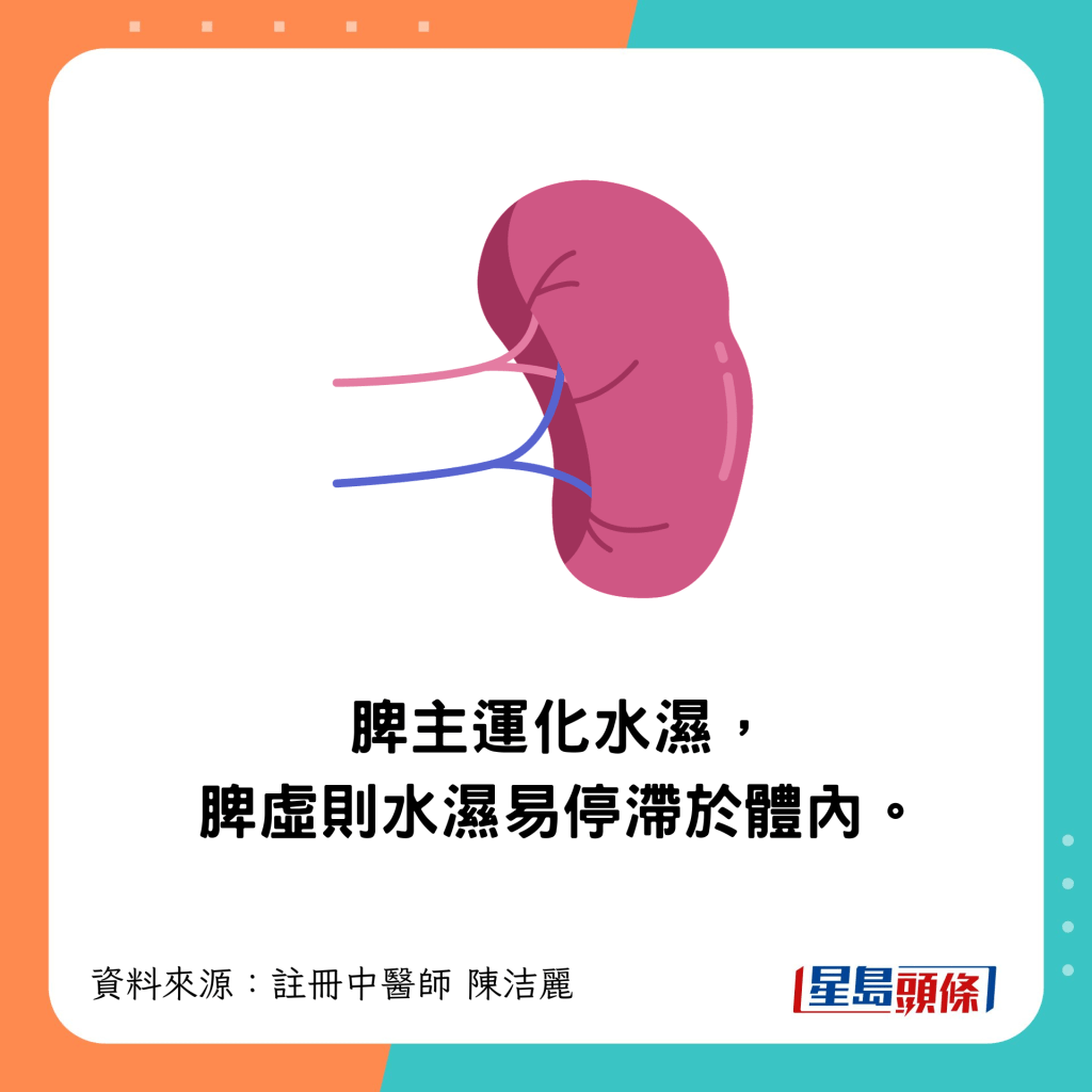 脾虛令水濕易停滯於體內。