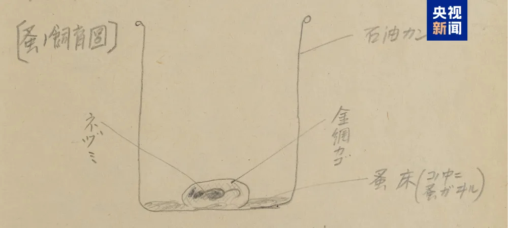 細菌學家加藤恆則1948年2月被蘇聯逮捕後親筆書寫的供述材料。央視截圖