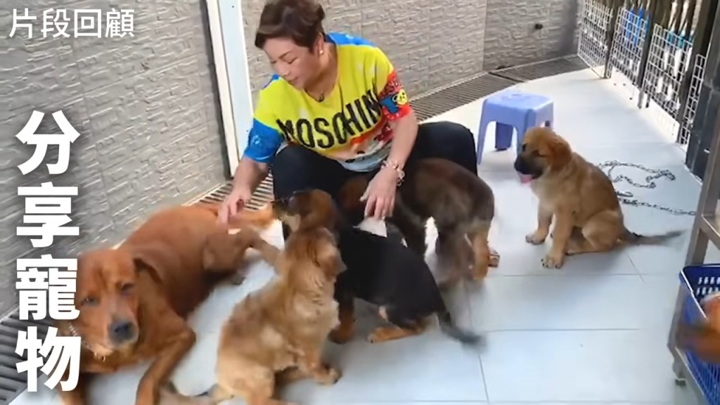 肥媽近日經歷愛犬離世。 肥媽近日經歷愛犬離世。