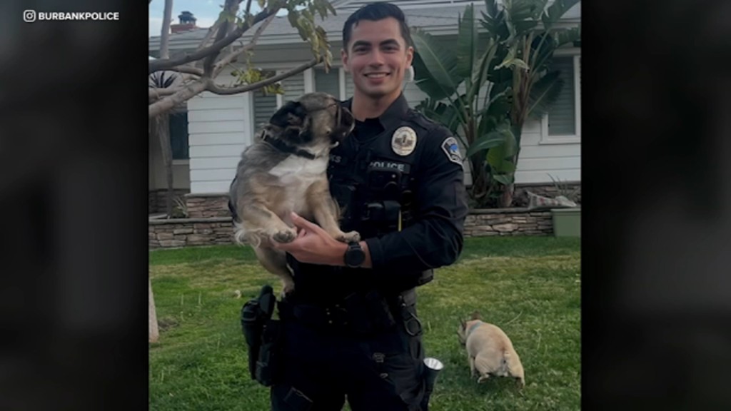 帕克斯与2只斗牛犬合照,其中一只在他身后草地。burbankpolice/IG 帕克斯与2只斗牛犬合照,其中一只在他身后草地。burbankpolice/IG