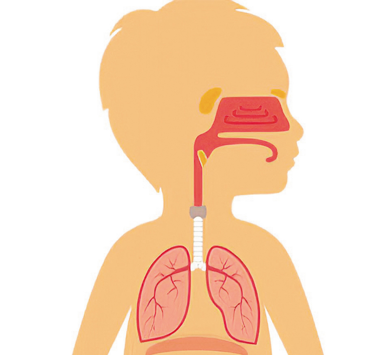 ●由於兒童的氣管本身比較窄，發炎時有機會阻礙呼吸，因而造成呼吸窘逼。