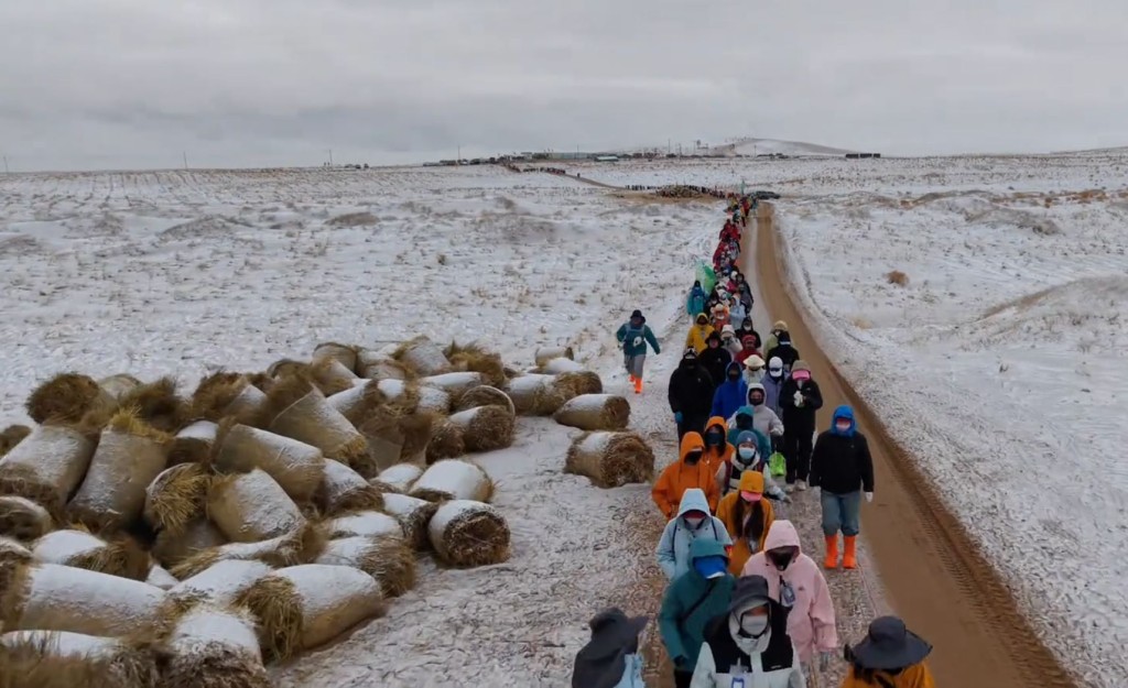 每年的民勤種樹活動，參加者也以女性義工為主。抖音＠小仲—沙漠變綠洲
