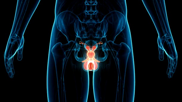 全球各地阴茎癌确诊与死亡案例持续增加。 iStock配图