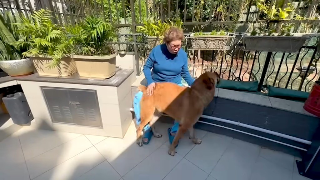 肥媽試過自己的YouTube頻道分享與狗狗相處的vlog。
