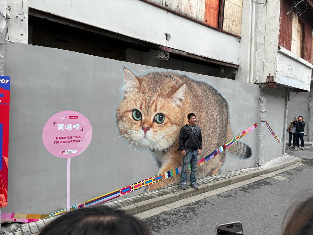 可愛貓咪壁畫巨大，吸引不少貓奴到來。(微博)